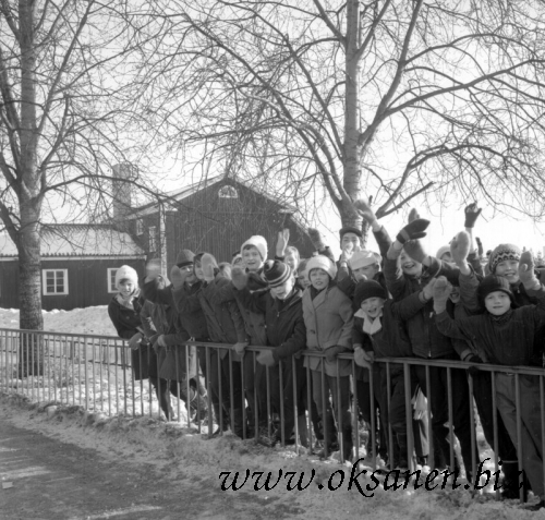 1174_1961.jpg