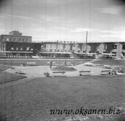 719_kathal_X.jpg